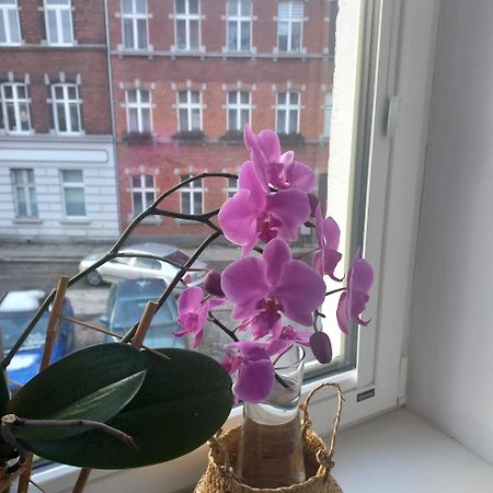 Apartament Prowansalski Z Miejscem Parkingowym Gdańsk Eksteriør billede